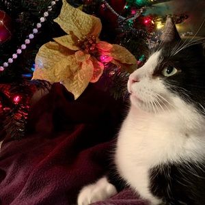 Meet your Posher, Sandra